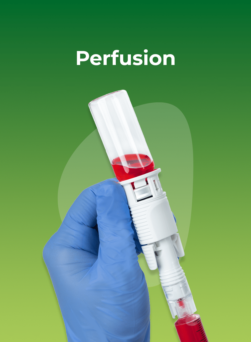 Spécialité perfusion